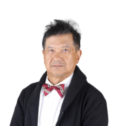 Professor Dr Wan Ariffin Abdullah